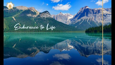 Endurance to Life 444hz