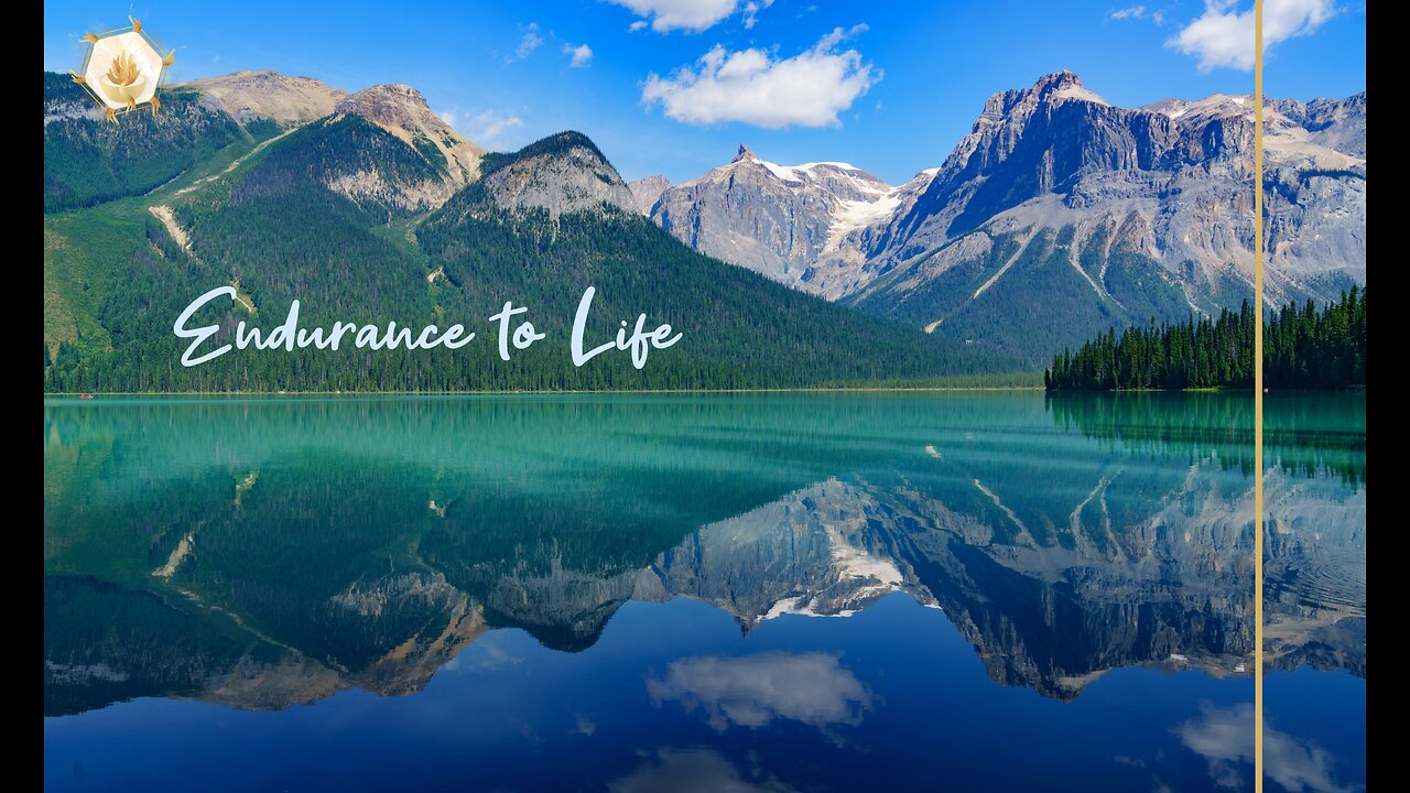 Endurance to Life 444hz
