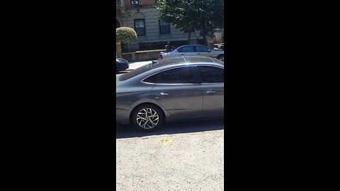 The perps are hiding their faces now. Exposing the criminal elements of the NY Predators Dept.