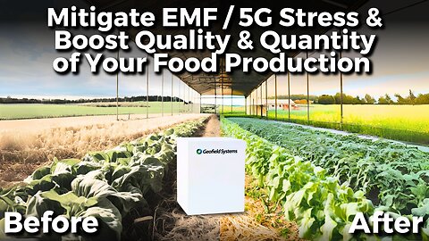 Can EMF / 5G Protection Boost Food Production on Farms & Homesteads? — Here’s How!