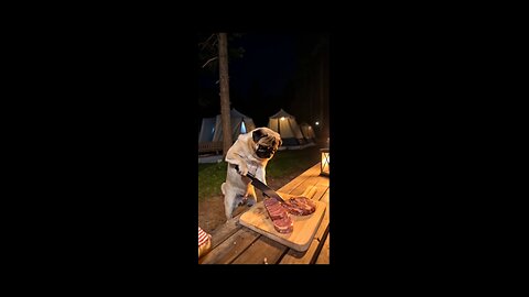 “Pug Chef Whips Up Yummy Treats!”