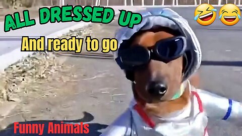 All dressed up and ready to go