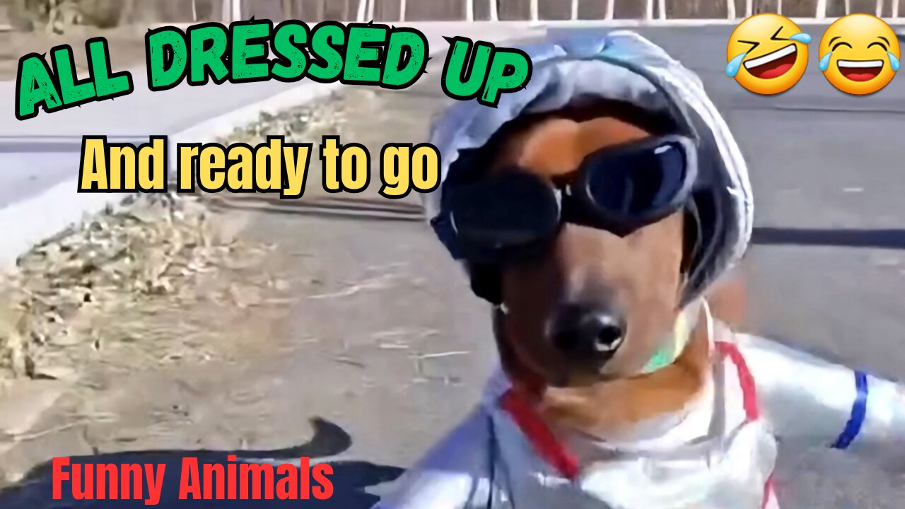 All dressed up and ready to go