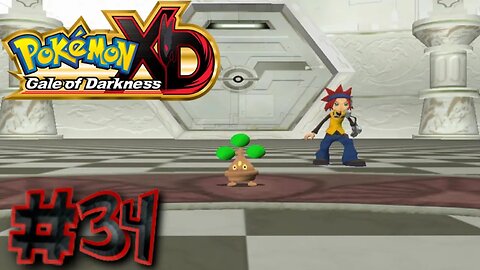 Pokémon XD: Gale of Darkness Episode 34: Bonsly Bingo