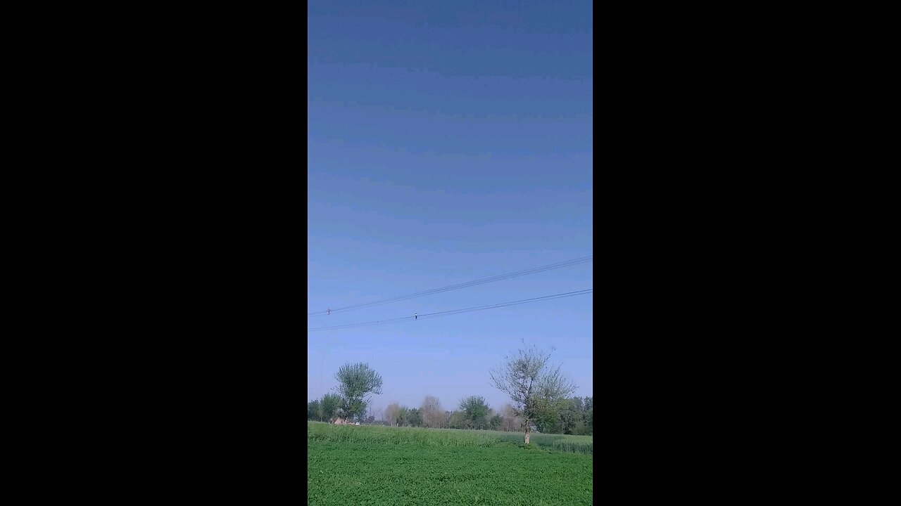 best video for my village