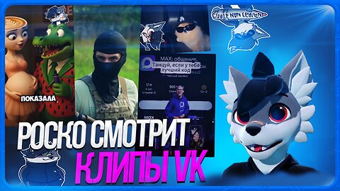 🐺 Роско смотрит ВК Клипы | ЧАСТЬ 2