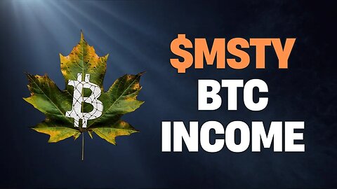 Re-design your financial life with MSTY