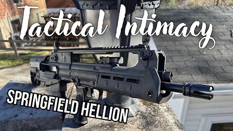 Springfield Hellion Rifle Review: Tactical Intimacy