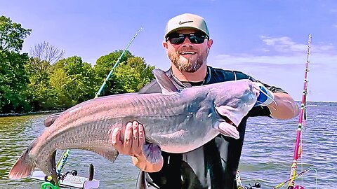 Dragging Bait for MONSTER CATFISH! This Rig Works Everywhere!