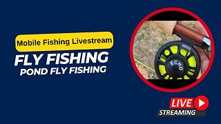 Pond Fly Fishing Again #Mobile #Fishing #Livestream Episode 87