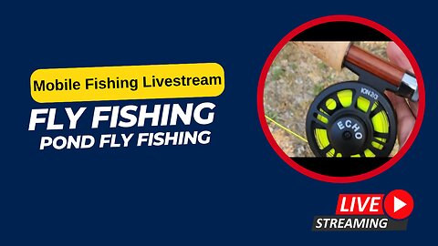 Pond Fly Fishing Again #Mobile #Fishing #Livestream Episode 87