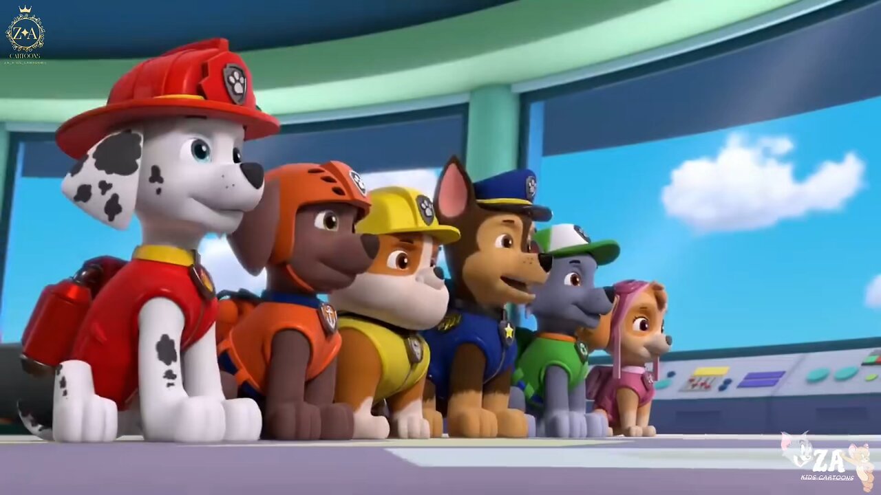 PAW Patrol Cartoons