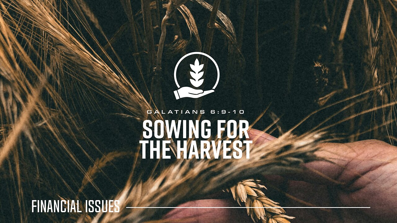 Sowing for the Harvest: Every Gift Counts