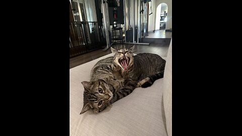 Episode 3093 - The Scott Adams School 02/12/26