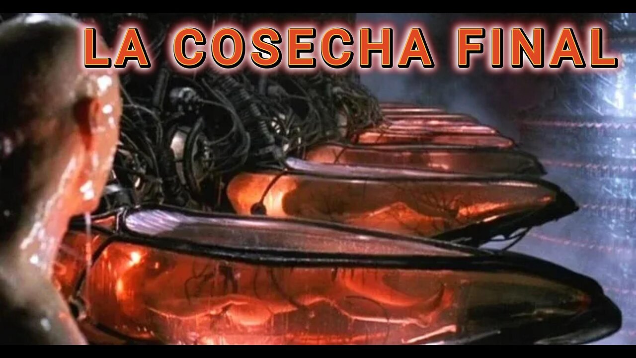 NO TE CONVIERTAS EN MERCANCÍA DEL SISTEMA DEL DEMONIO!