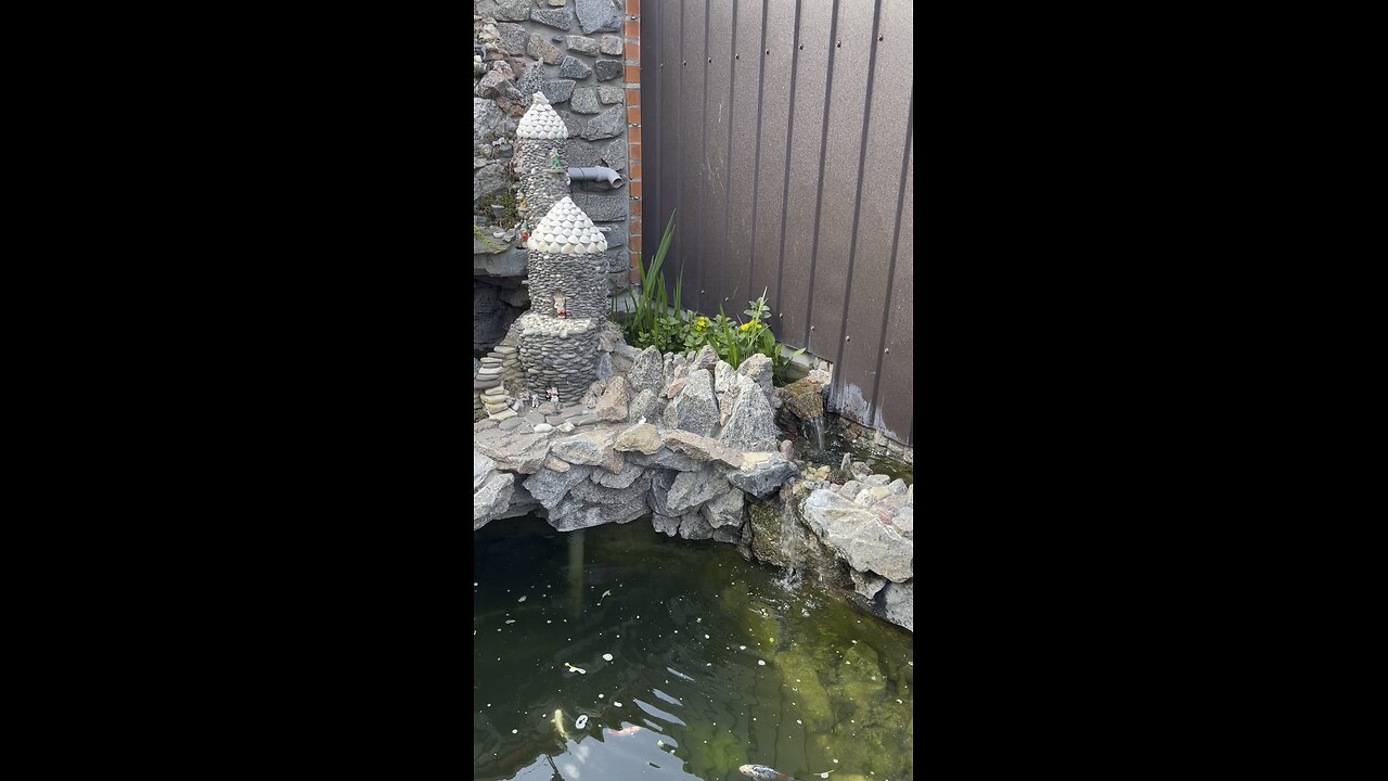 Home pond