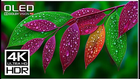 The Best of The Best Dolby Vision 4K Video HDR 60FPS - Relaxing Music for Stress Relief