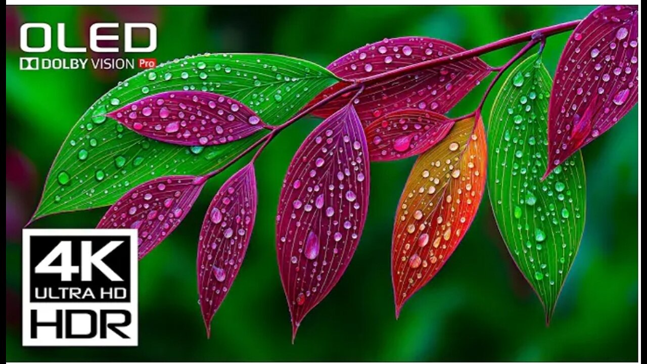 The Best of The Best Dolby Vision 4K Video HDR 60FPS - Relaxing Music for Stress Relief