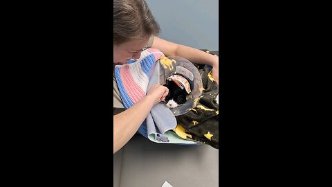 Long video of our cat at the pet hospital