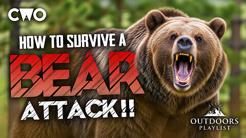 How to Survive a Bear Attack 🐻 | Essential Tips | Creatures, Wildfood & Outdoors