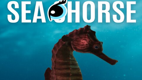 🌊🐴 Amazing Seahorse Facts You Didn’t Know! | Nature’s Most Unique Creature