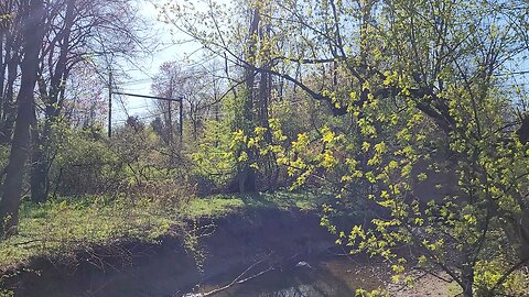 Septa 101 trolley crossing Darby creek.