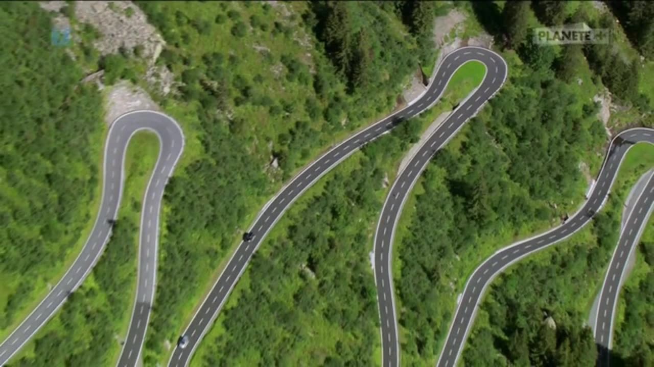 UROKLIWE PASTWISKA dokument pl