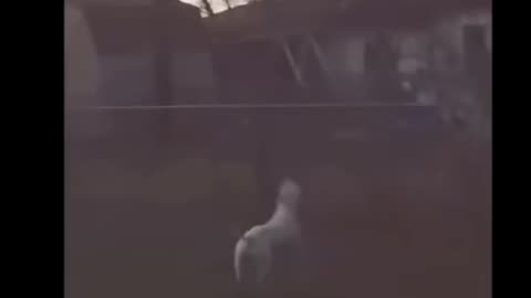 👻😨 3 Ghosts Captured by Accident | TheHauntingHour