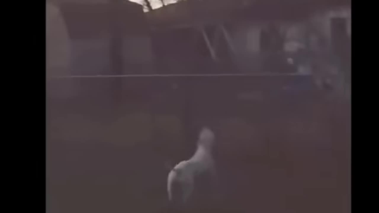 👻😨 3 Ghosts Captured by Accident | TheHauntingHour