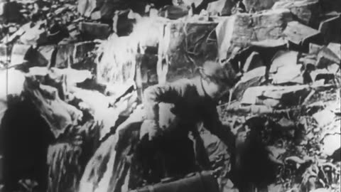 Billy the Bear Tamer (1915)