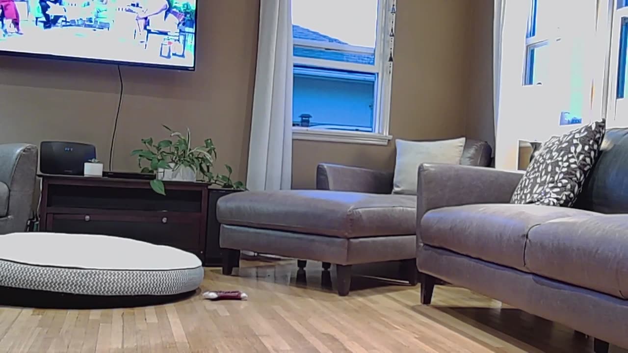 Las Noticias No Sirven Para NADA!