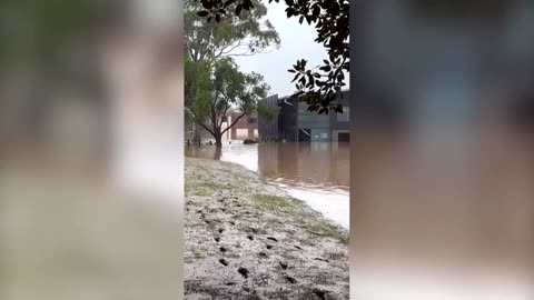 Eyewitness video shows flooding in Taree, Australia after heavy rain