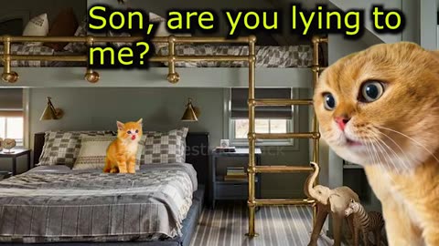 Two Cats Decide to Punish their Kitten After He Escapes Home (Ep.107)