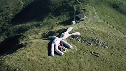 Creepy Giant Bunny EXPLAINED (decomposing)
