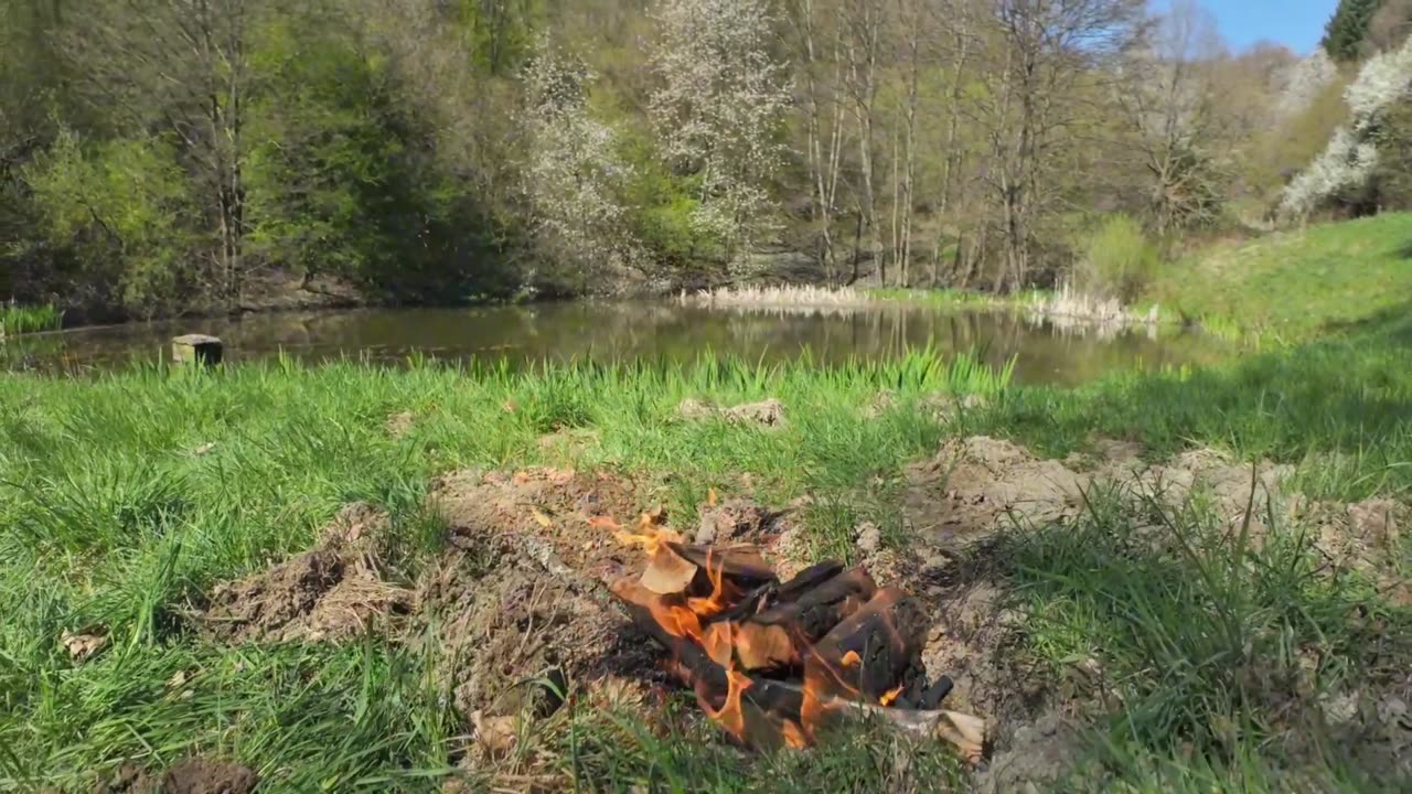 Garlic Butter Pollock, Crispy Fire Potatoes & Creamy Yogurt Dip | Silent Cooking by the Lake ASMR