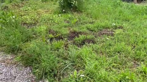 Top level of the property - I messed up a bit