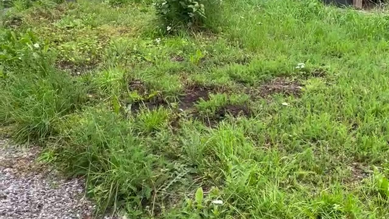 Top level of the property - I messed up a bit