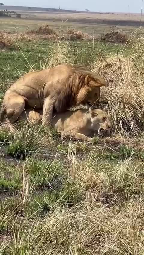 The happy moment. 🤗