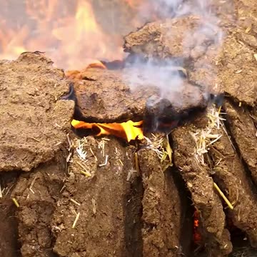 Follow for this type of video...