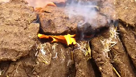 Follow for this type of video...