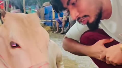 নস্ট সমাজ😂 #fyp #viral #reels