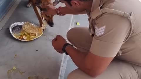 Humanity about save delivery boy and dog eat food