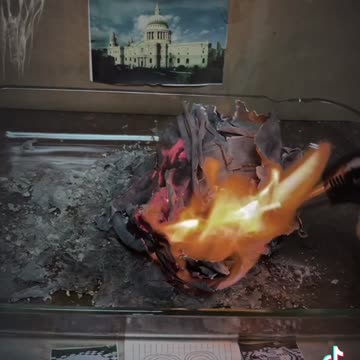 Tim Rifat TikTok Videos