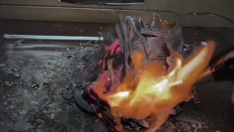 Tim Rifat TikTok Videos