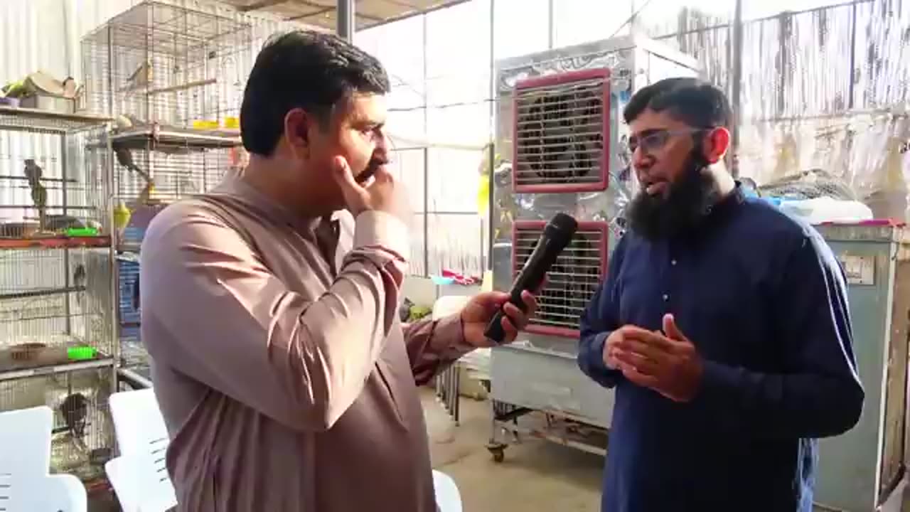 Big setup of expensive birds