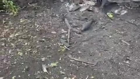 🚚🔥 Ukraine Russia War | Destroyed Ukrainian Truck Loaded with Ammunition | RCF