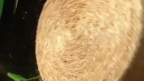 How a hay bales works