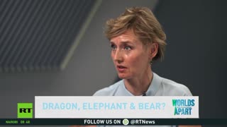 Dragon, elephant & bear? Zhang Weiwei, Director of the China Institute at Fudan University