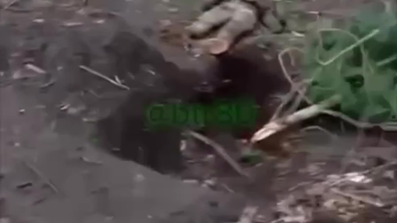 War in ukraine