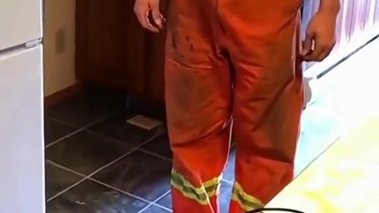 FUNNY ANIMAL COMPILATIONS - PART 37